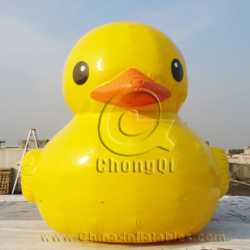 inflatable duck float